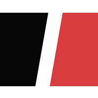 RapidFire Safety & Security logo