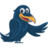 Raven logo