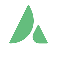 Real Capital logo