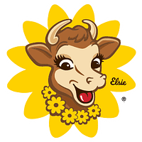 Borden Dairy logo