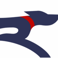 RedRover Sales & Marketing Strategy logo