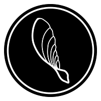 Samara Aerospace logo