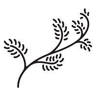 Sarah O. Jewelry logo