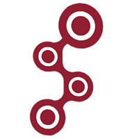 Seitel Systems logo