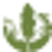 Sierraclub logo
