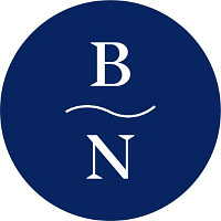 Blue Nile logo