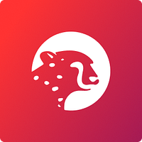 Sokin logo