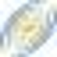 Southern Star logo