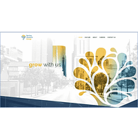 Spring Venture Group logo