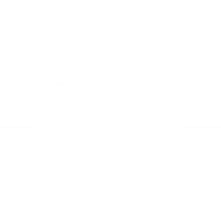 SteerBridge logo