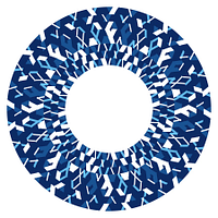 Stralynn logo
