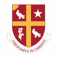 University of St. Thomas - Houston logo