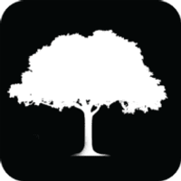 The Park at 14th logo