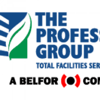 The Professional Group logo