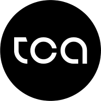 The Consultant Agency logo