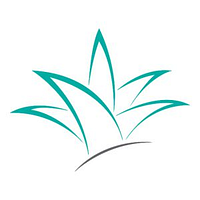 The iidea Company logo