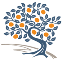 The Persimmon Group logo