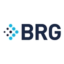 Thinkbrg logo