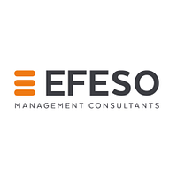 EFESO Consulting logo