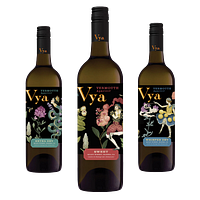 VYA Inc logo