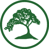 Wellness Solutions Geriatrics logo