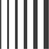 The Barcode Group logo