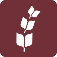 Bible League International logo