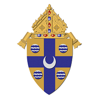 Catholic Charities of the Diocese of Springfield in Illinois logo