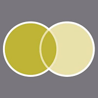 Europa Eyewear logo