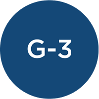 G-3 Chickadee logo
