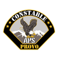 All Pro Security logo