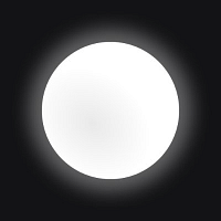 White Circle logo