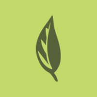 Willow Health logo