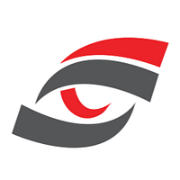 WS Insight logo