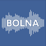 Bolna AI logo